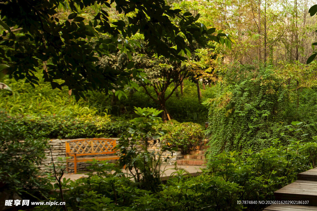 静谧花园中的休憩长椅