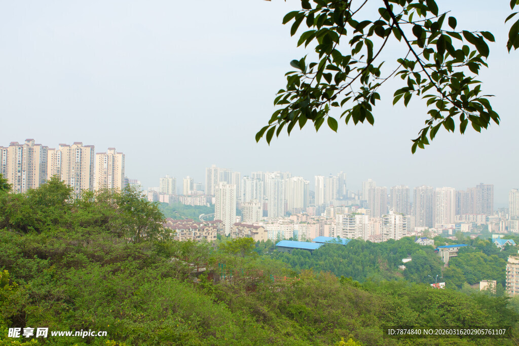 城市远景与葱郁绿植