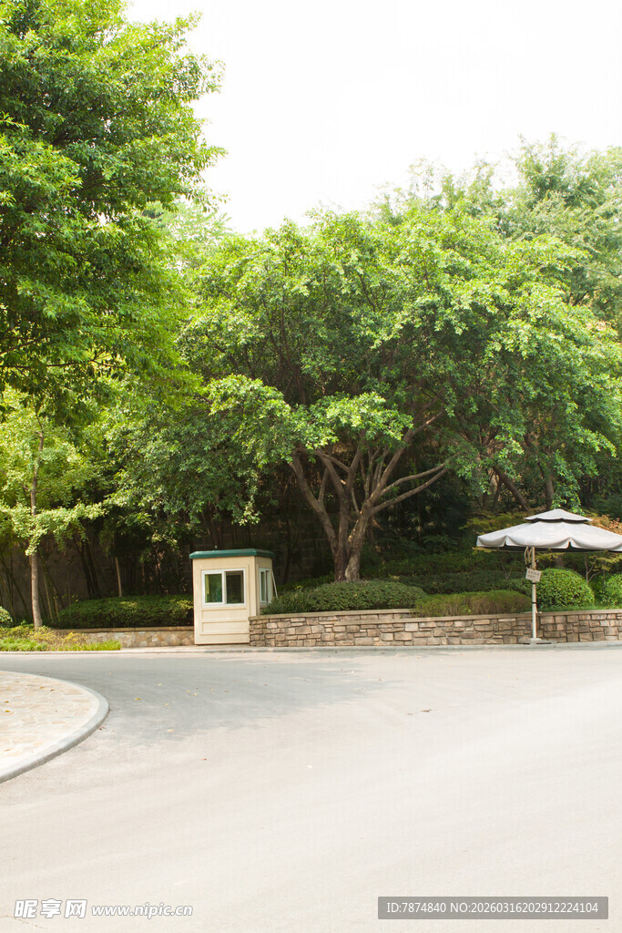 户外绿树环绕的开阔场地