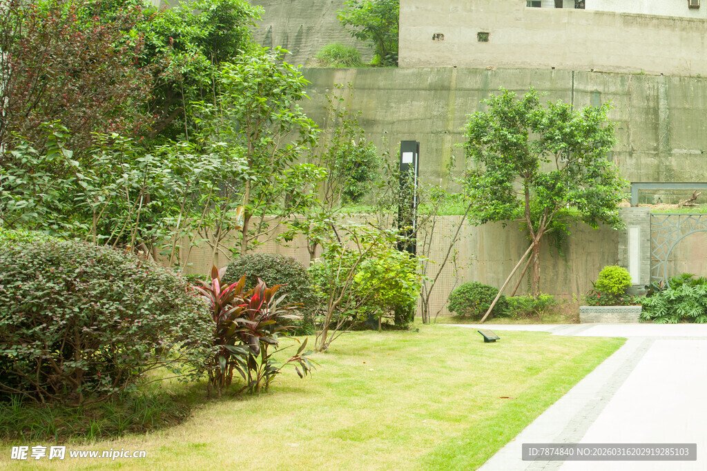 庭院绿植景观一角