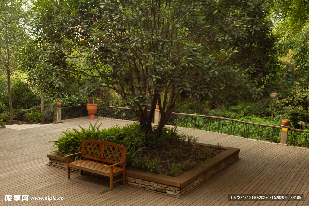 庭院中的树与休憩长椅