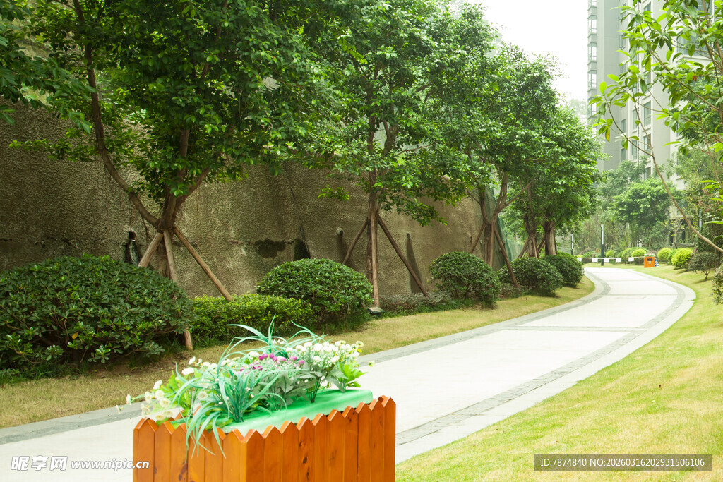 园林小径旁的绿植景观