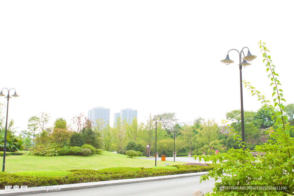 城市公园绿意盎然的景致