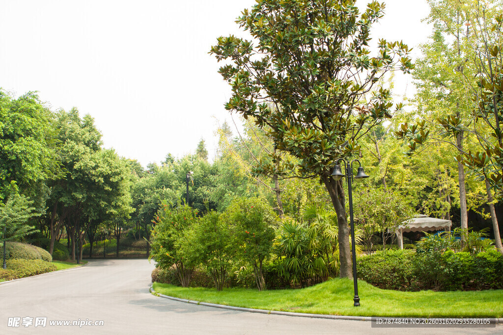 林间蜿蜒小路 绿意盎然