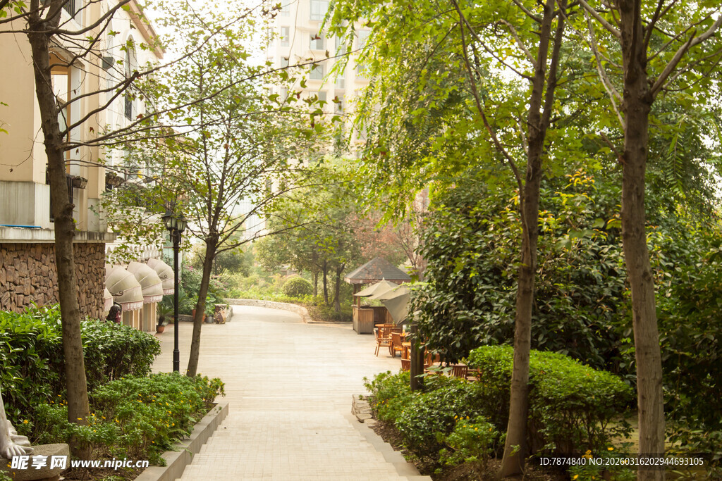 幽静林间小道 绿意盎然