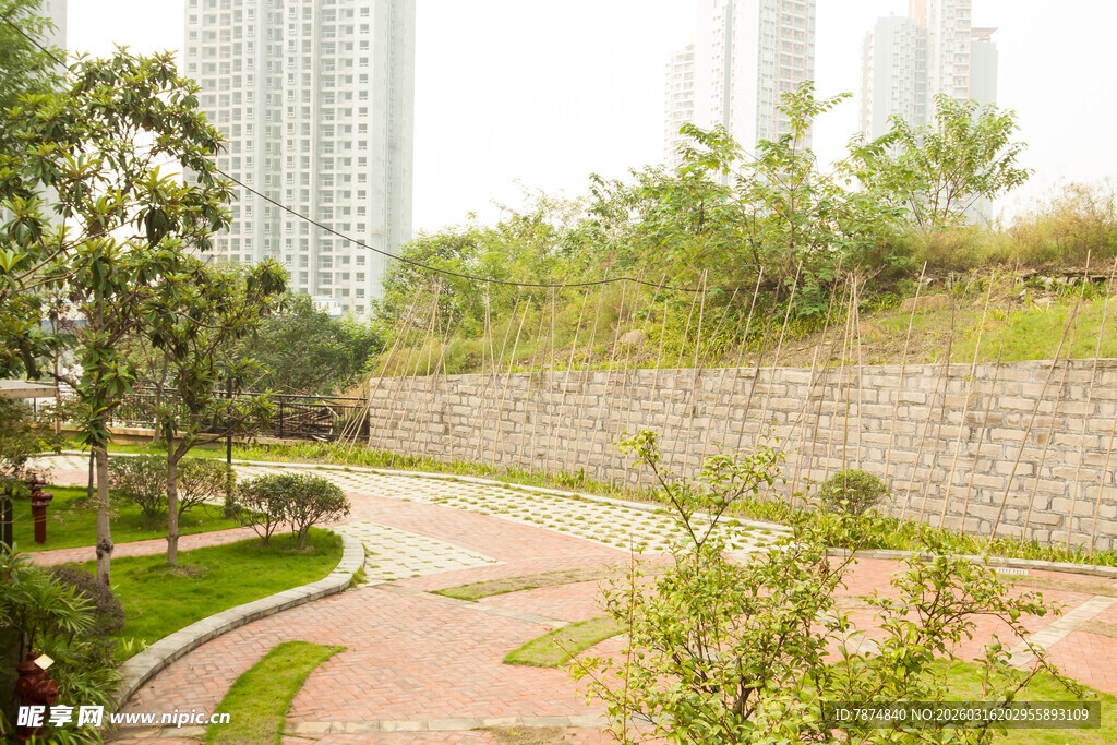 城市中的静谧绿化景观