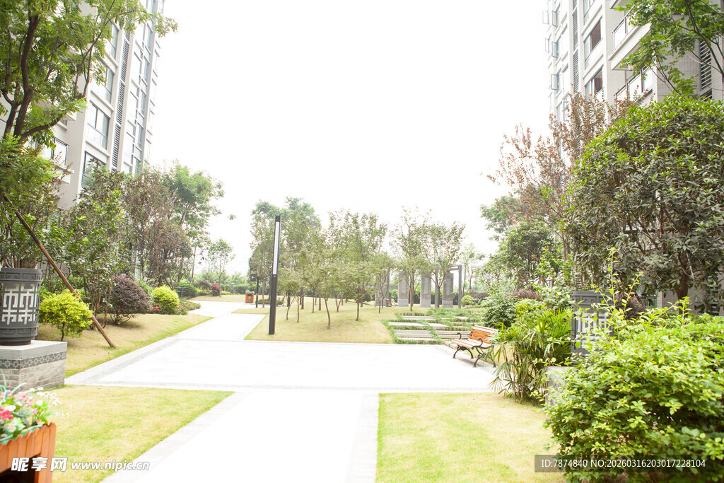 小区内的优美园林景观