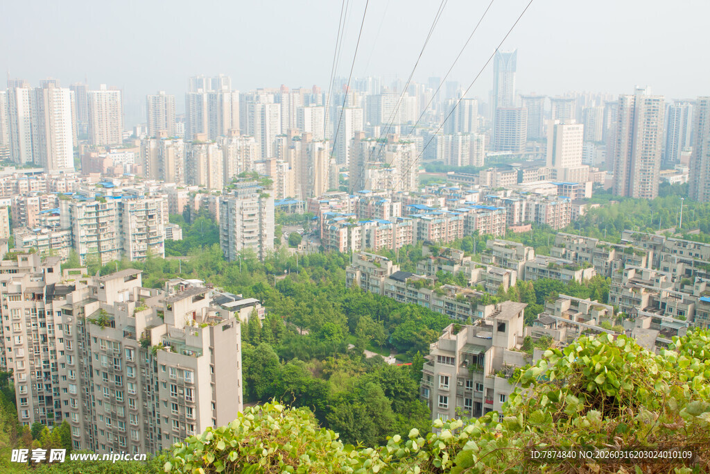 俯瞰城市与绿树景观