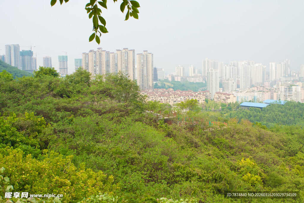城市边缘的葱郁绿意