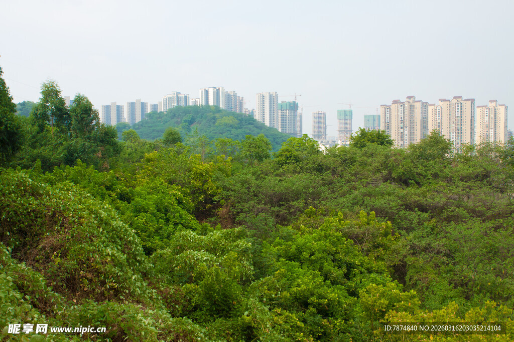 山林间远眺城市高楼