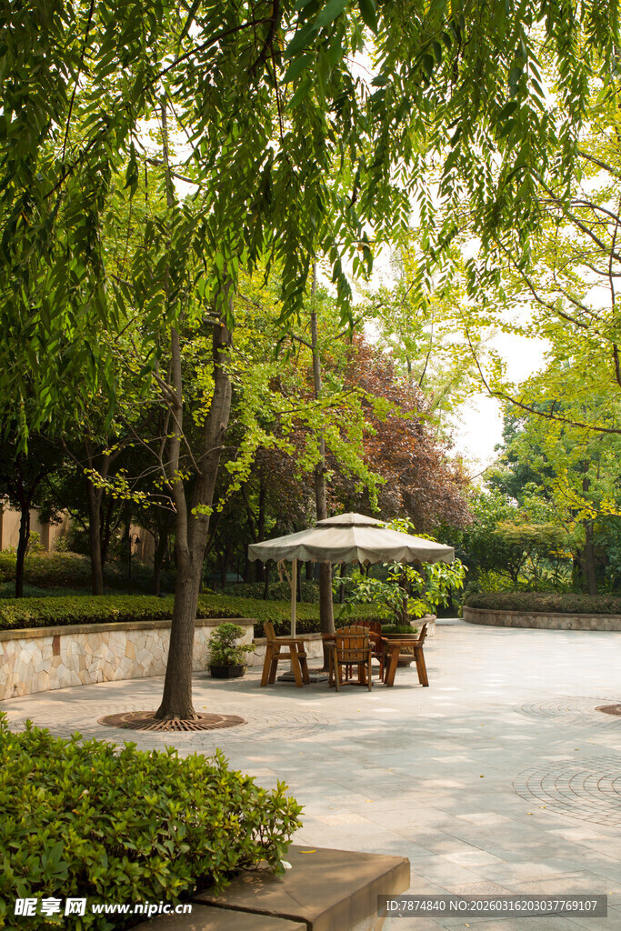 静谧庭院中的休闲角落