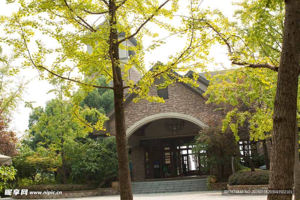 古雅建筑旁的繁茂绿树