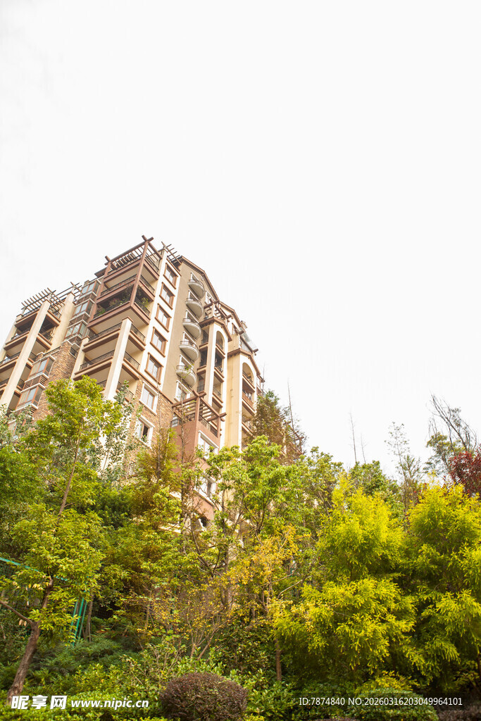 绿树环绕的多层建筑