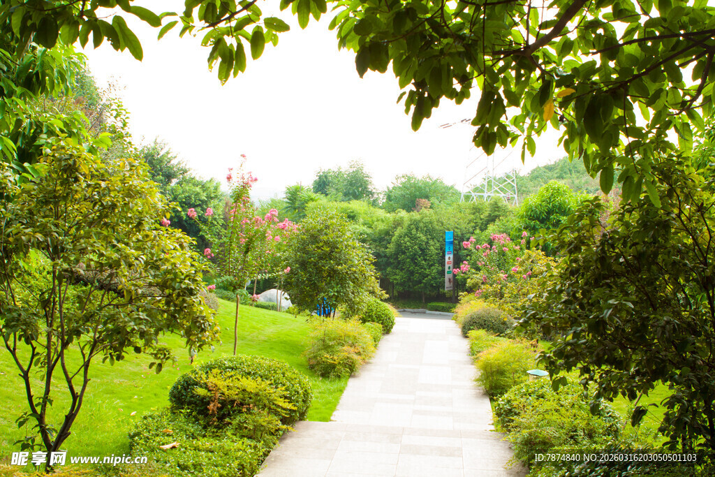 林间小径 绿意盎然的景致