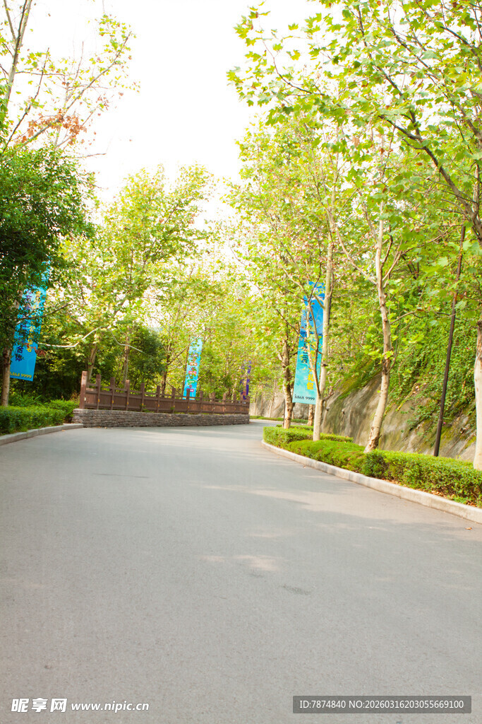 林荫下的宽阔道路