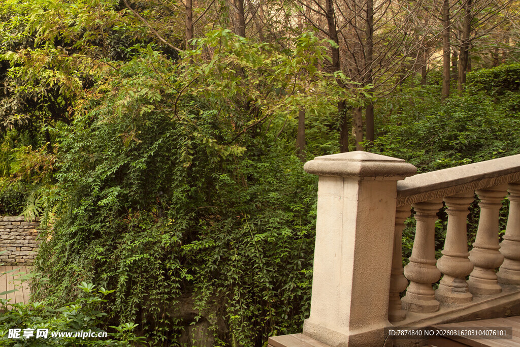 石栏杆旁的繁茂绿植