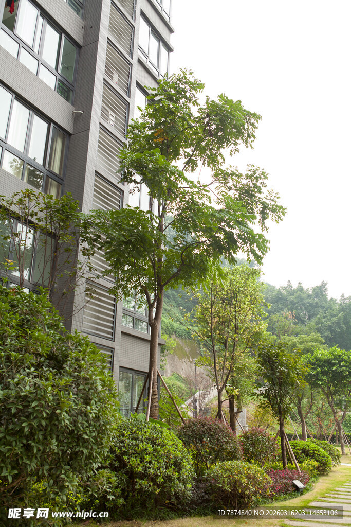 现代建筑旁的绿植景观