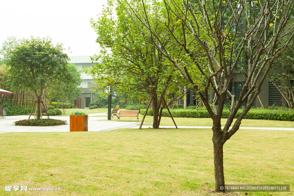 公园绿意盎然的休闲场景