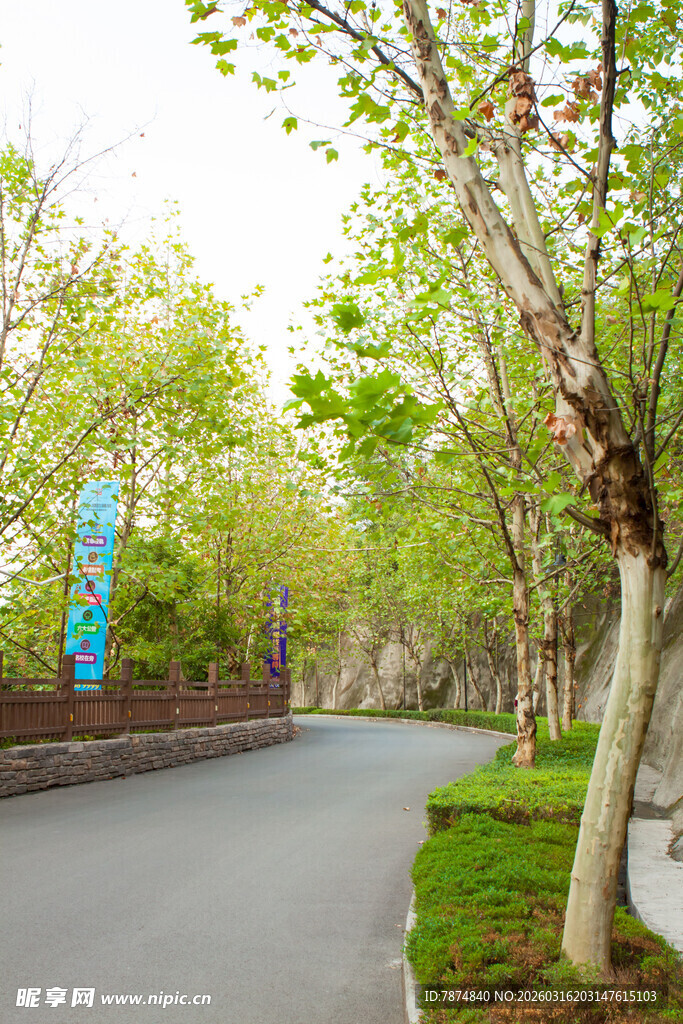 春日林荫小道风景图