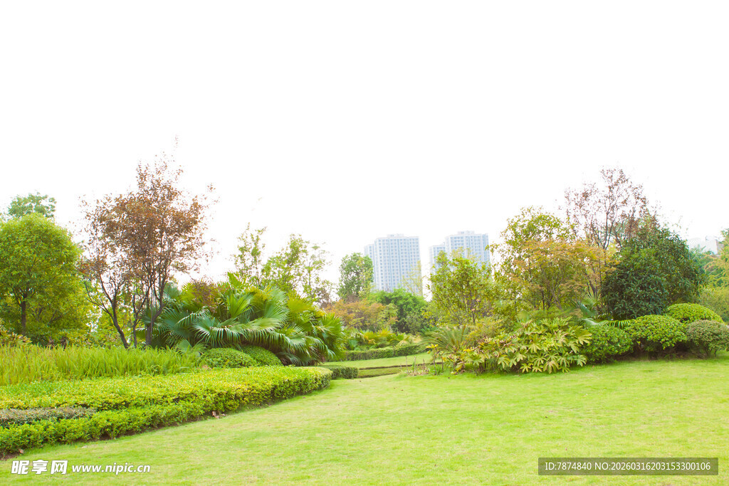 城市中的绿意盎然草坪景观