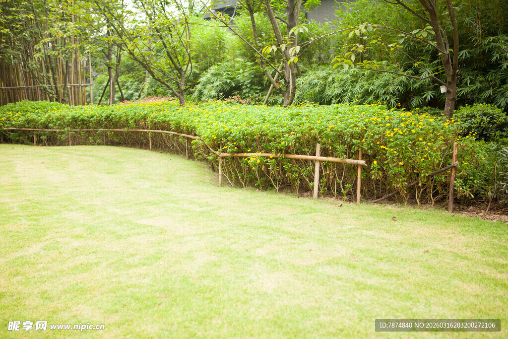 绿意盎然的庭院景观