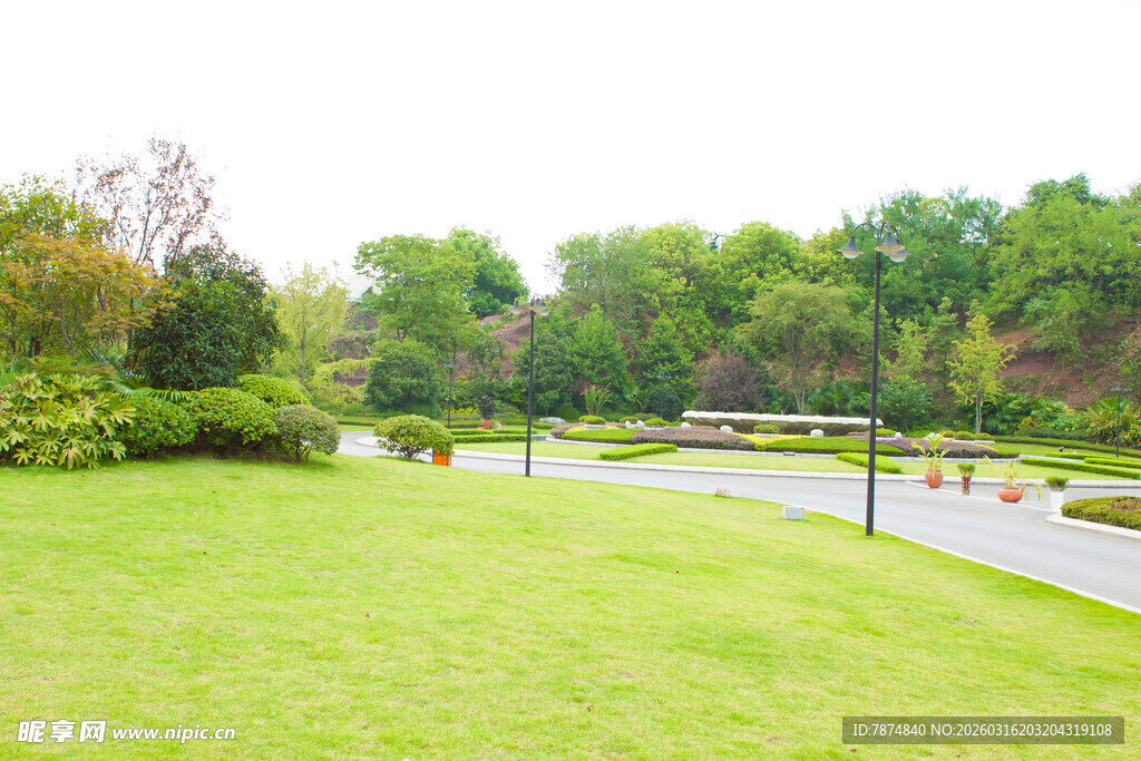 绿意盎然的公园景观