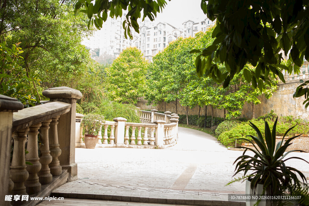 雨中庭院小径景观