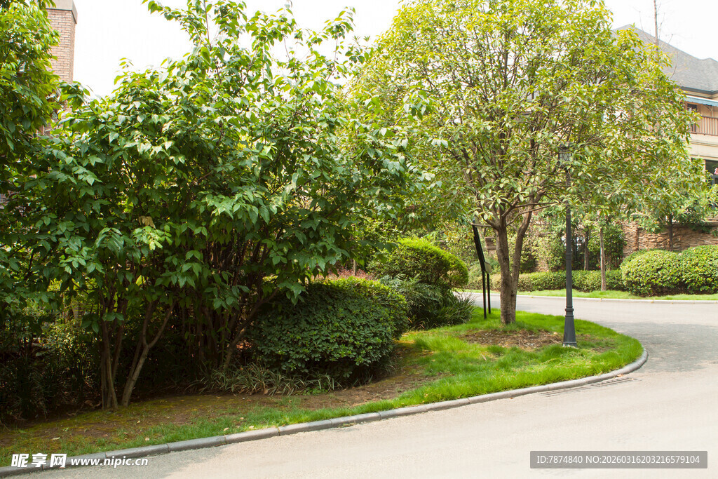 小区内绿意盎然的道路景观
