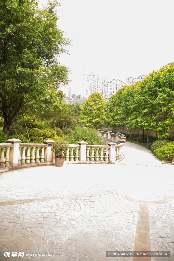 公园中的石桥与葱郁树木