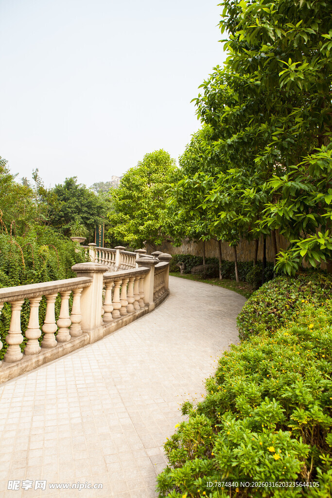 林间蜿蜒步道 绿意盎然