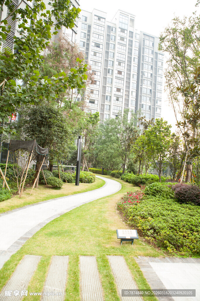 城市中的静谧绿化小径