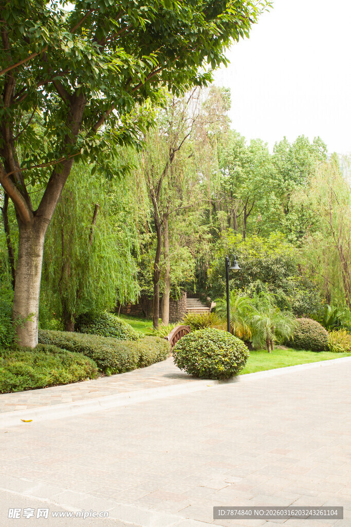 城市中的静谧绿植景观