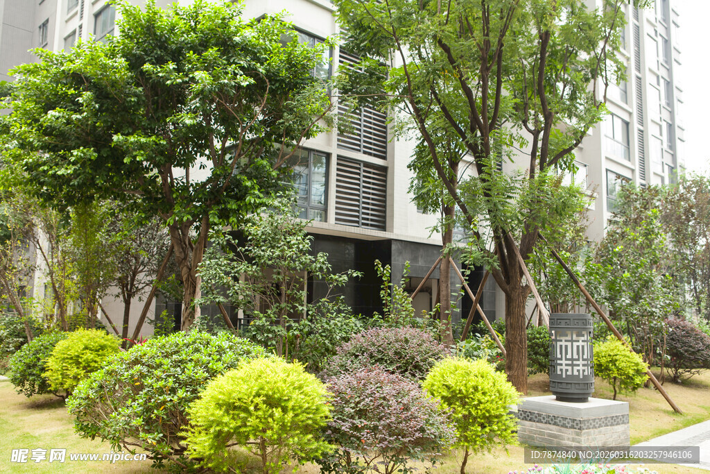 小区内精致绿植景观