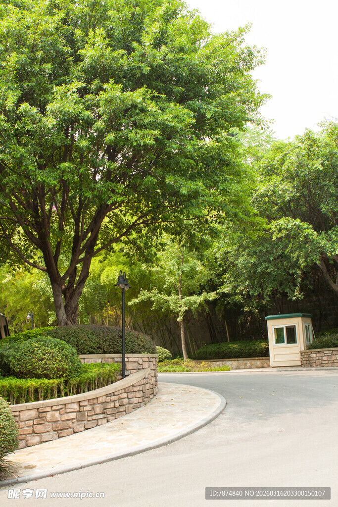 林荫环绕的静谧园中小路