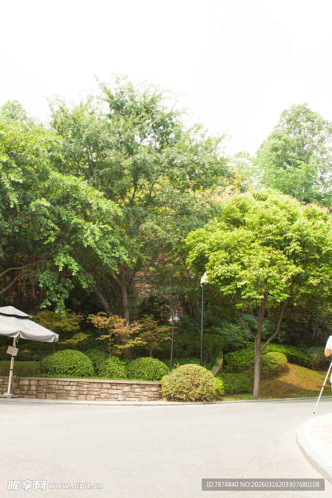 户外绿树环绕的休憩场景