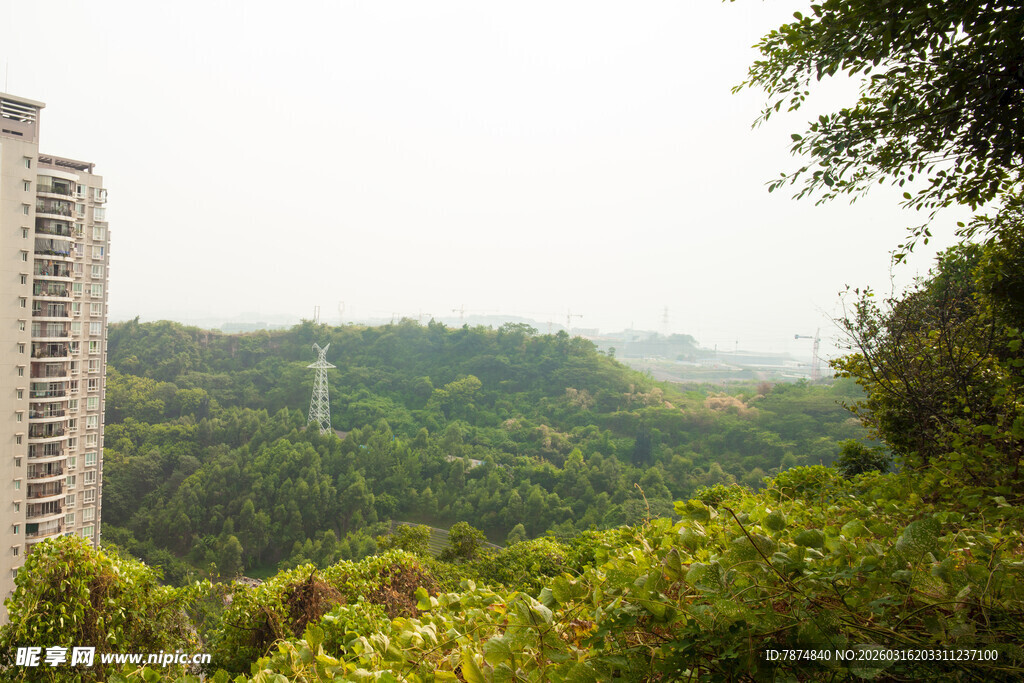 高楼与葱郁山林景观