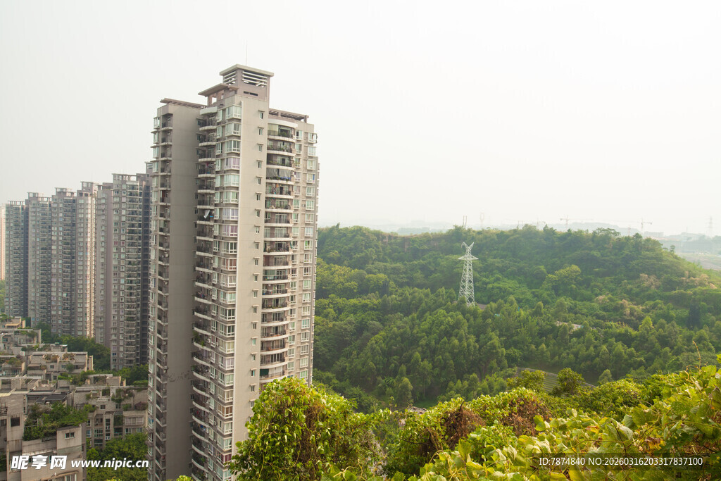 高层住宅与葱郁山林景观