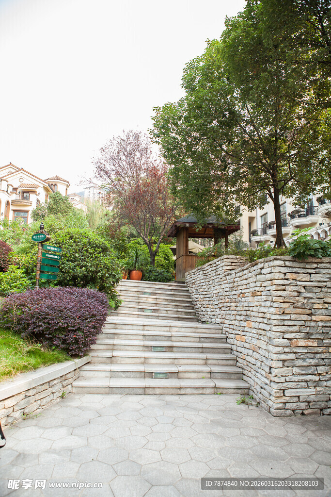 石砌步道旁的绿植景致