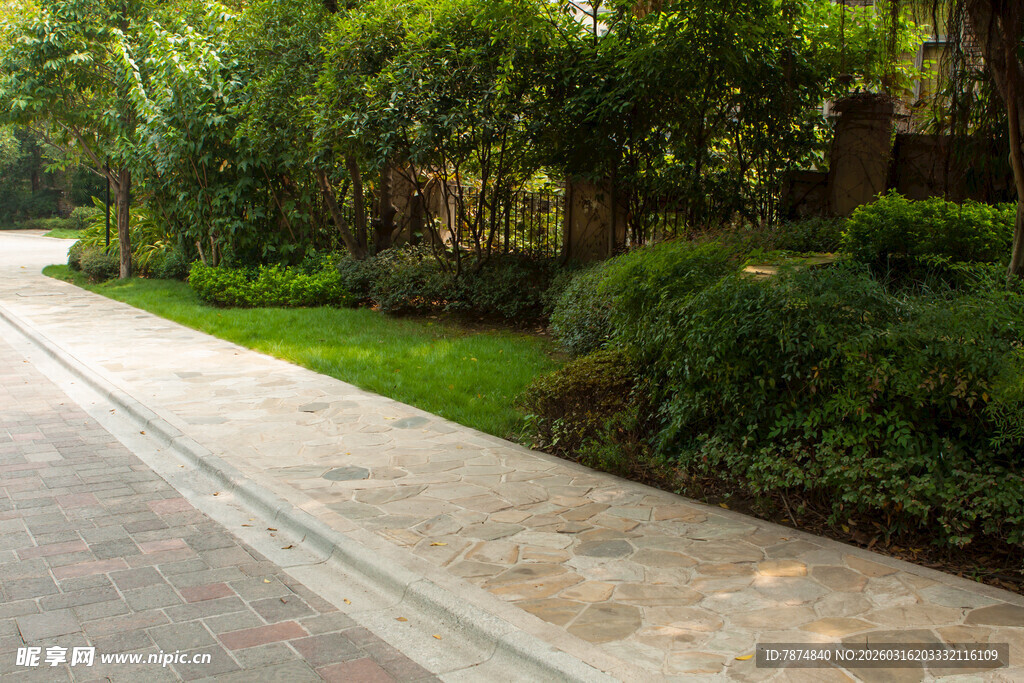 小区林荫步道景观