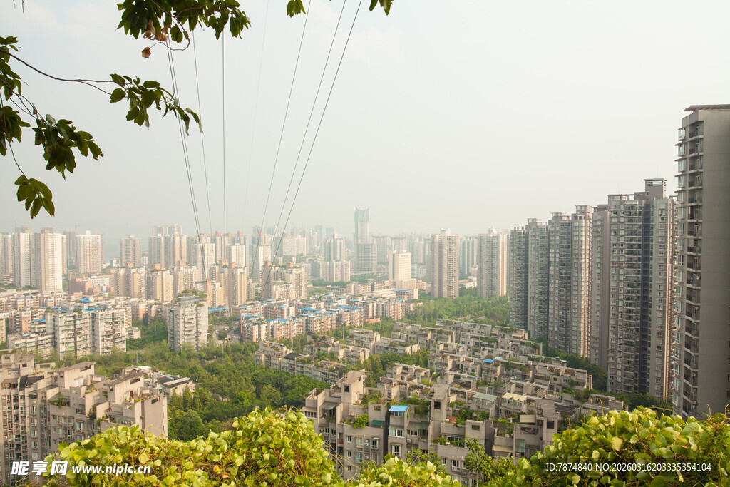 城市高楼与绿植景观