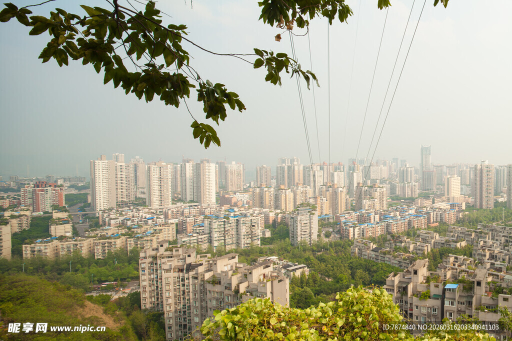 城市高楼与绿树相映景观