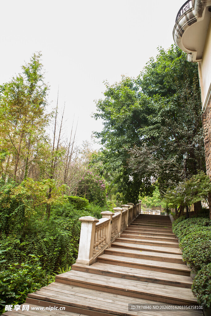 庭院石阶旁绿植环绕景致