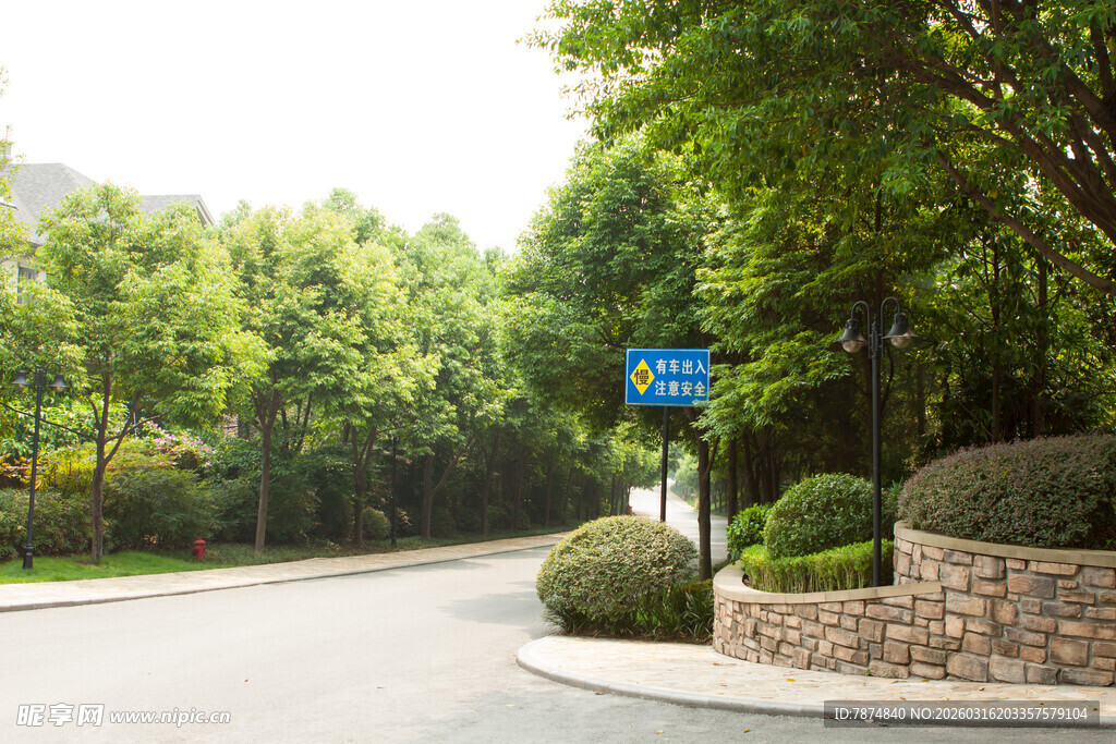 林荫环绕的静谧街道