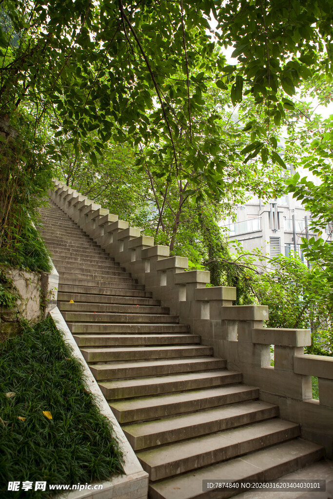 绿荫下的石阶步道