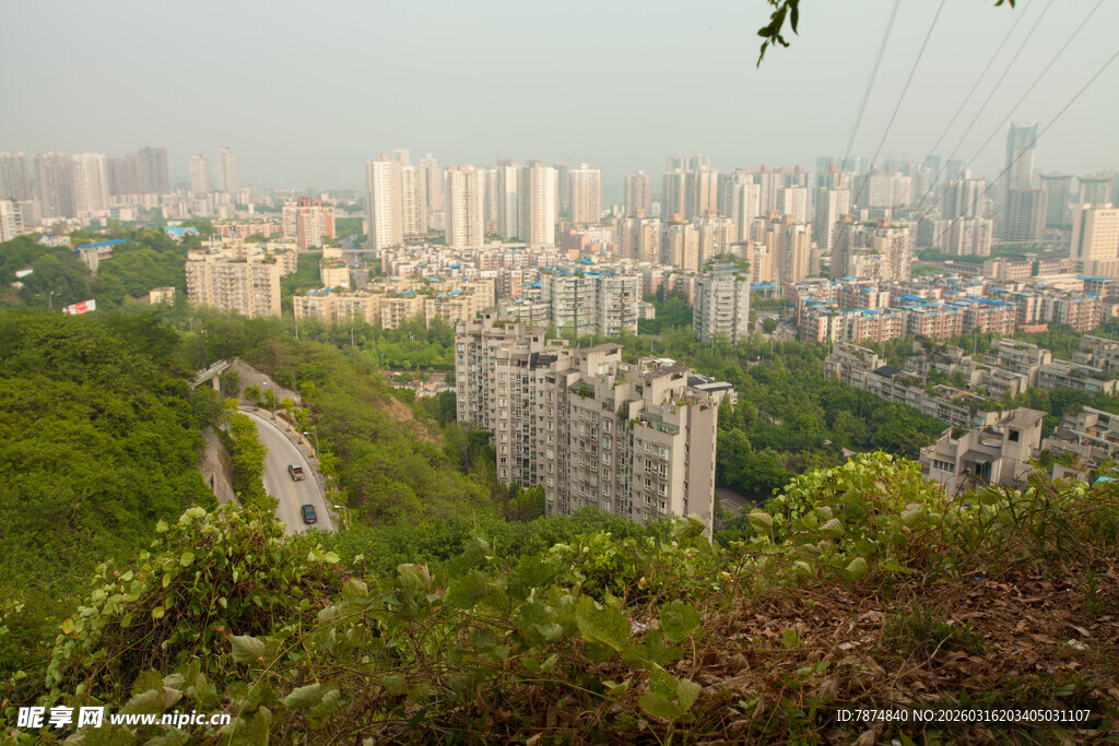 俯瞰城市与绿意景观