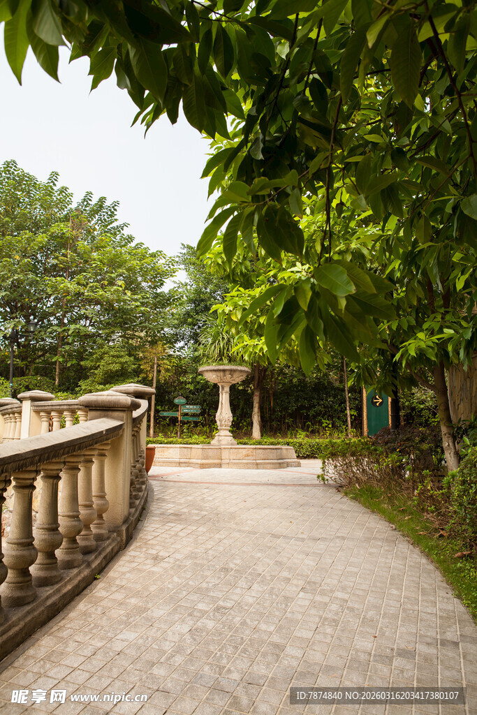 园林小径 绿树环绕景致美