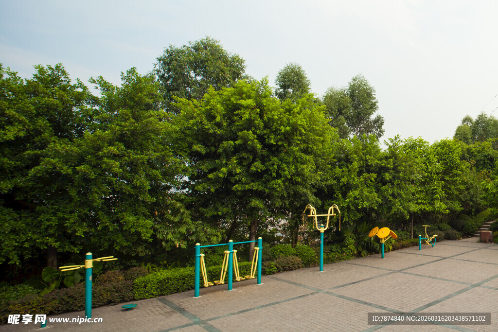 户外绿树环绕的健身场地