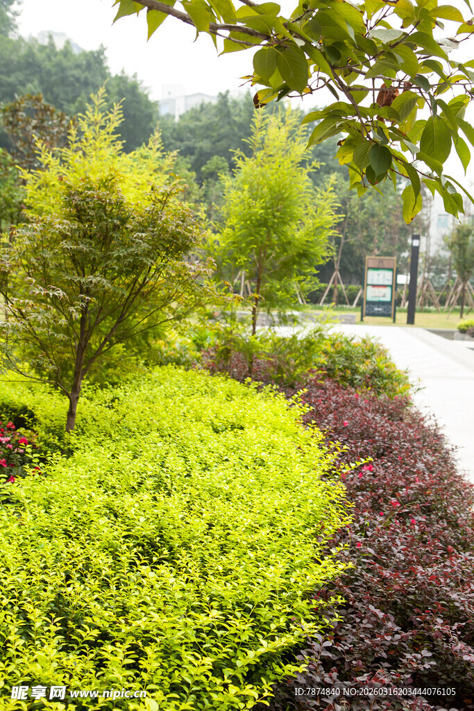 多彩绿植装点的园林景观