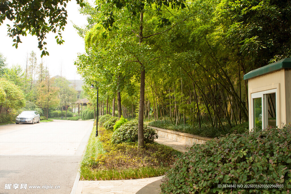 清幽竹林旁的静谧小道