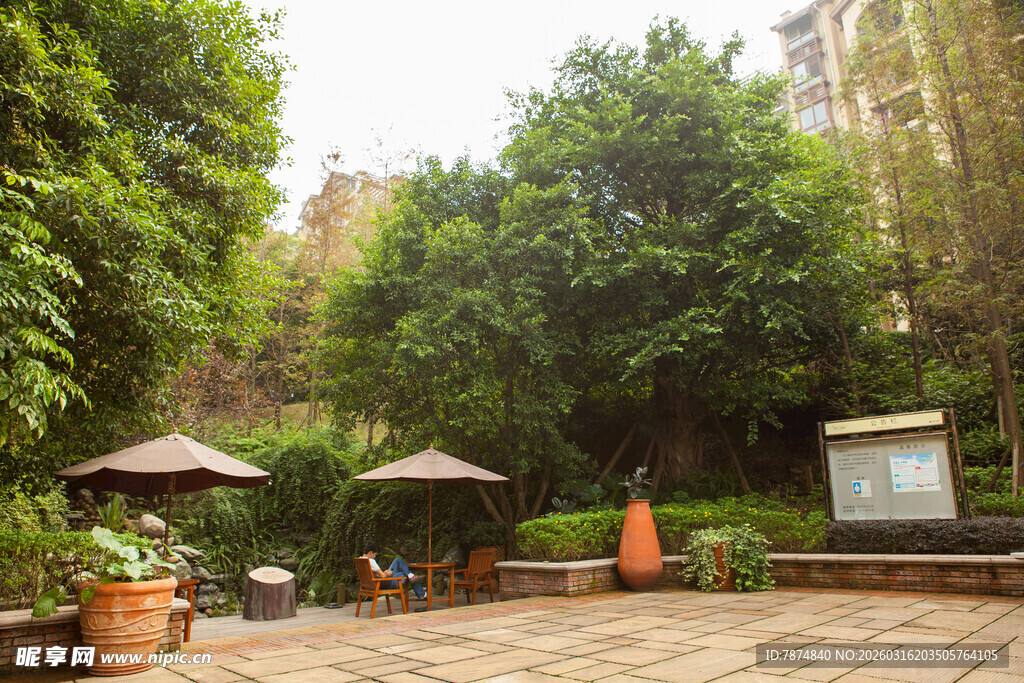 庭院绿植环绕休闲空间